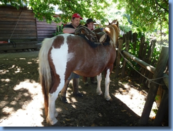 A man saddleing a horse on a trailriding for beginners program.